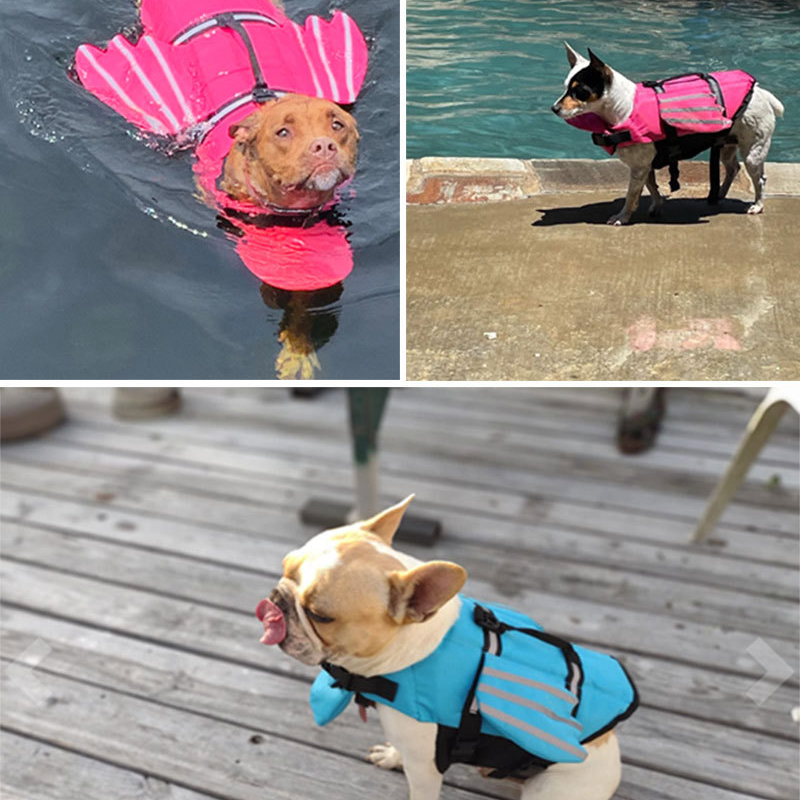 Colete salva-vidas para cães,  - Life Jacket avaliação e preço