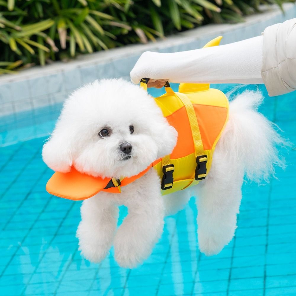 Colete salva-vidas para cães e - Life Jacket avaliação e preço